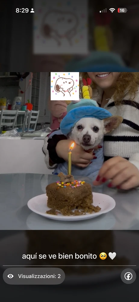 GIF augšupielādēja Less