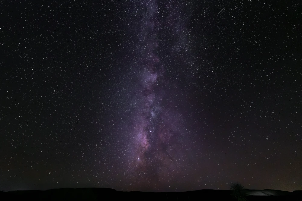 Image uploaded by Jee Hoon Micheel