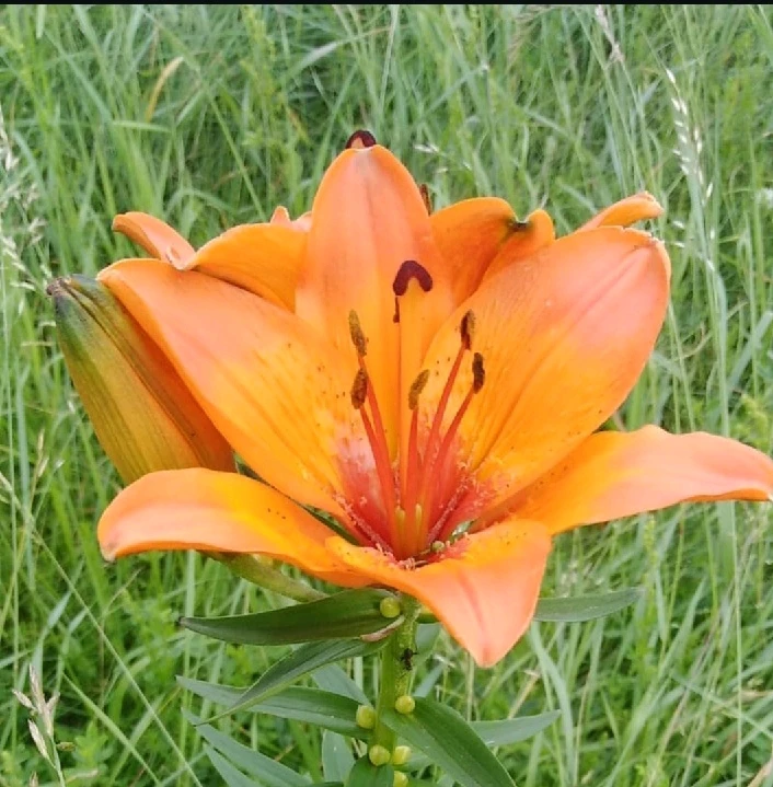 GIF uploaded by Samuel