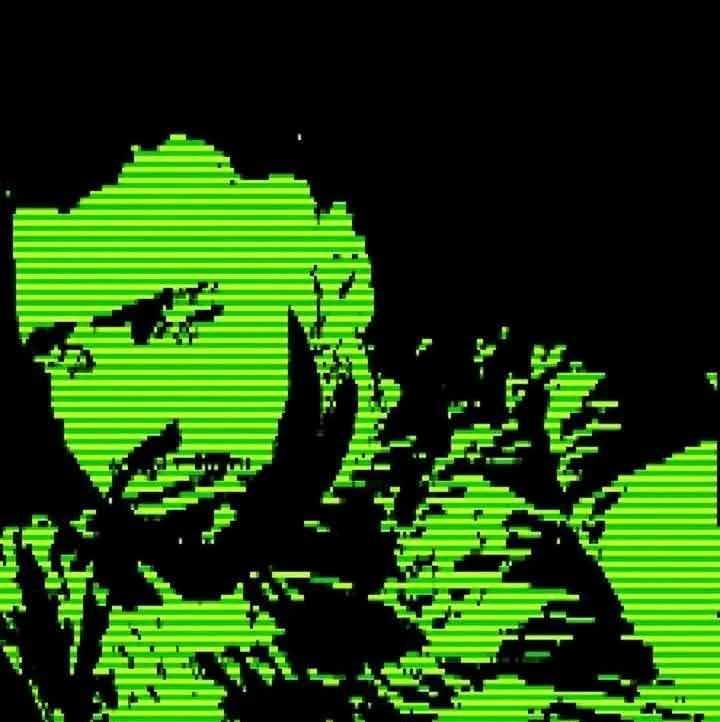 GIF ilipakiwa na Michael