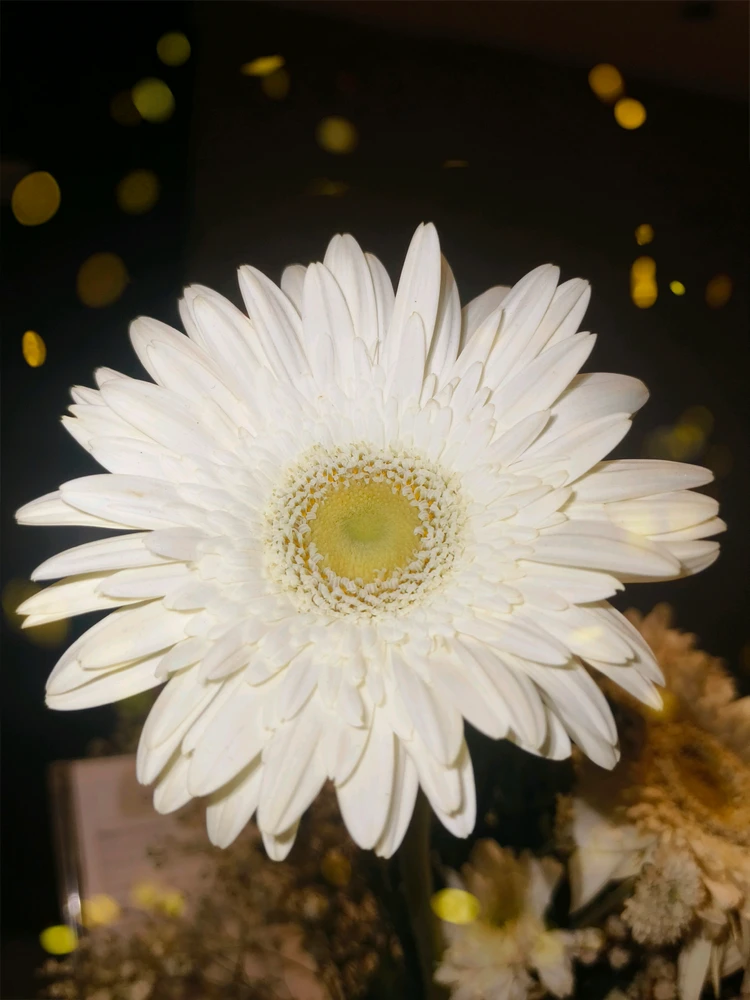Image uploaded by Pronay kumar Pal