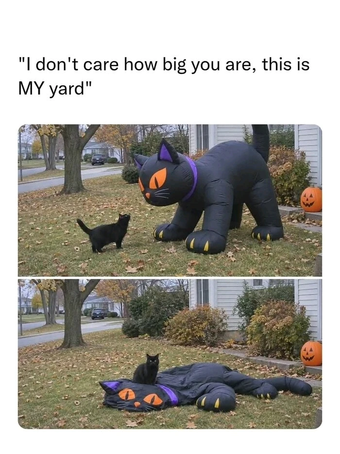 GIF nahral Carla