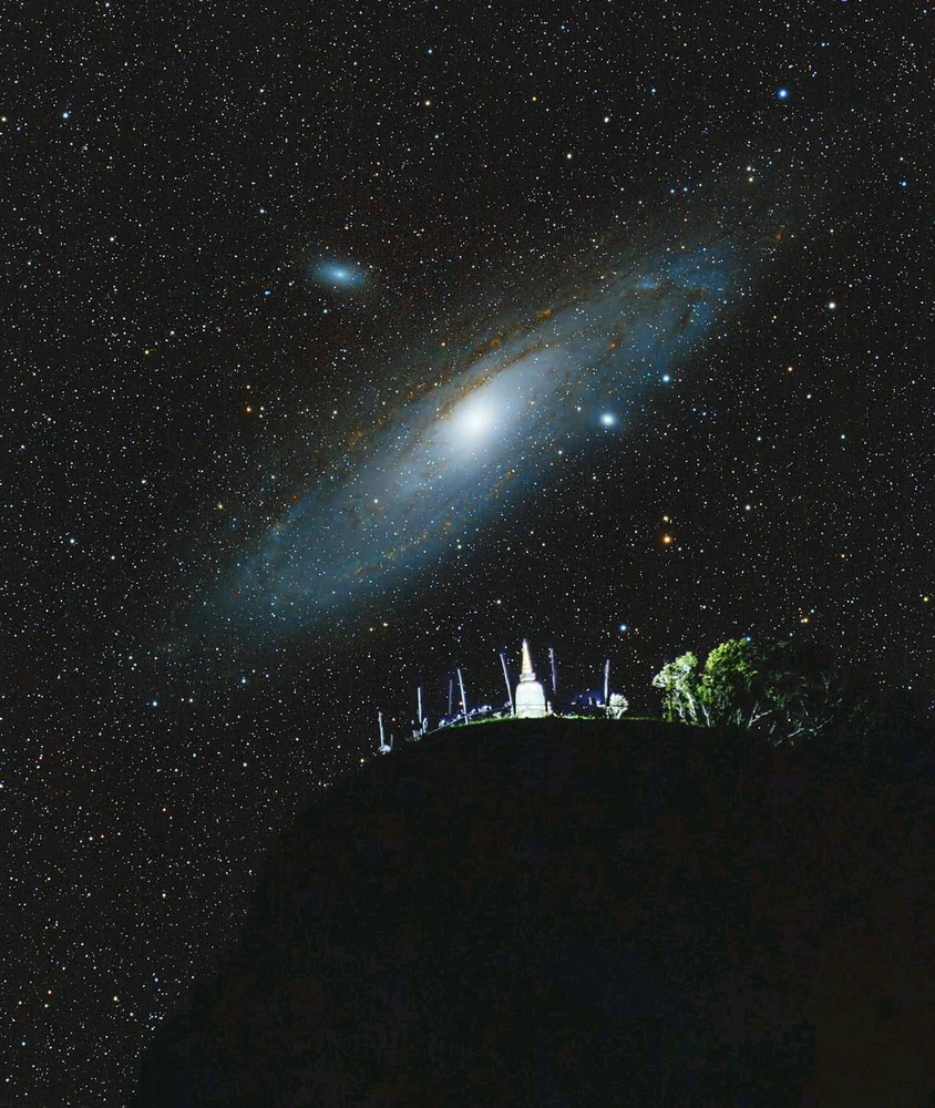 GIF uploaded by 𝓑𝓾𝓽𝓽𝓮𝓻𝓯𝓵𝔂