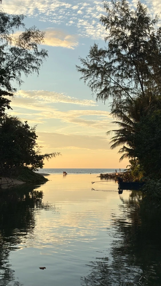 Elona Arleneがアップロードした画像