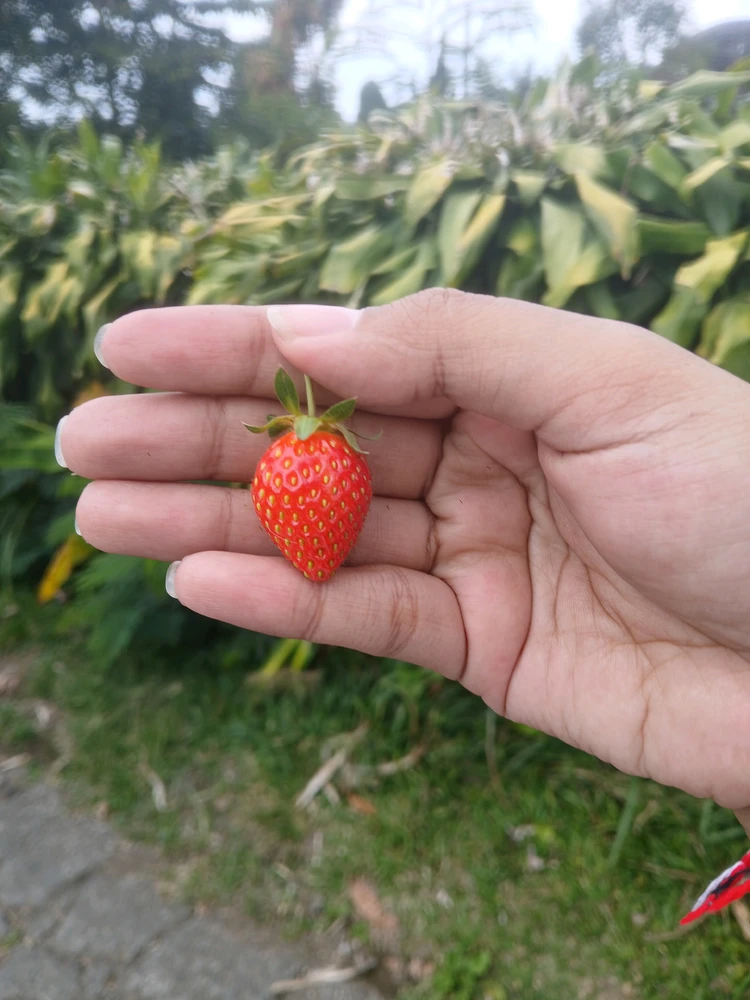 Sliku je postavio/la Lala