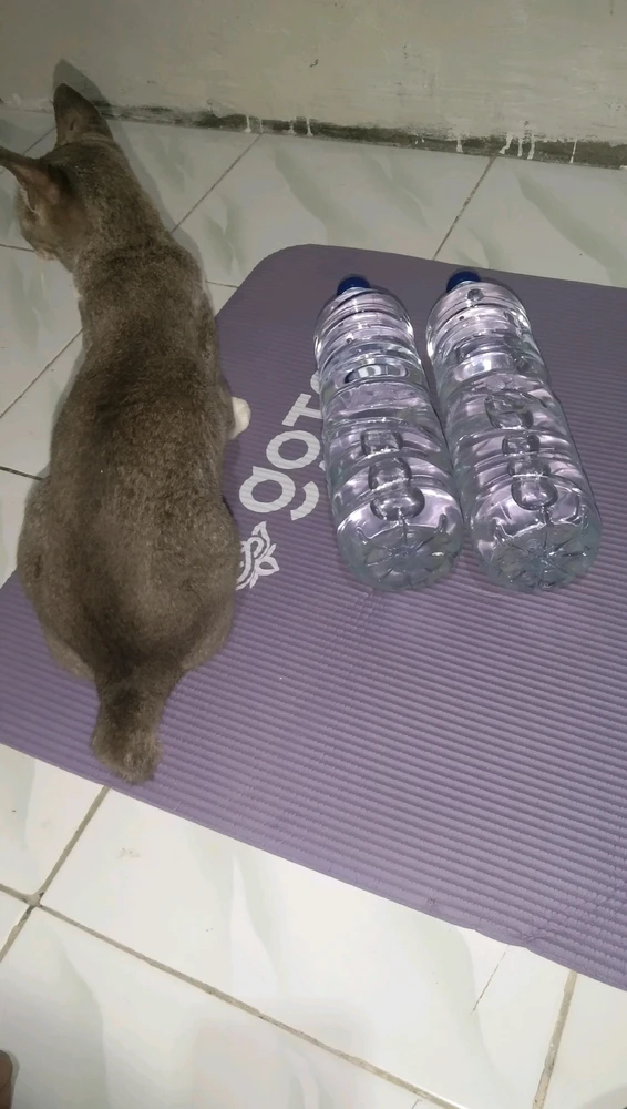 GIF uploaded by Nana