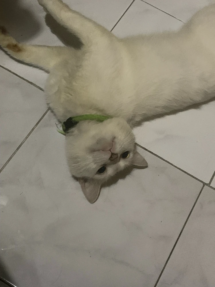 GIF uploaded by Vione