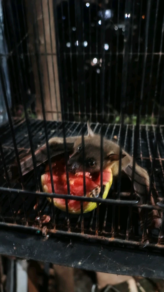 GIF uploaded by Zeffy