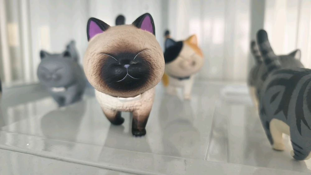 Слика поставена од Kan Bunny(⁠ ⁠ꈍ⁠ᴗ⁠ꈍ⁠)カンイヤー
