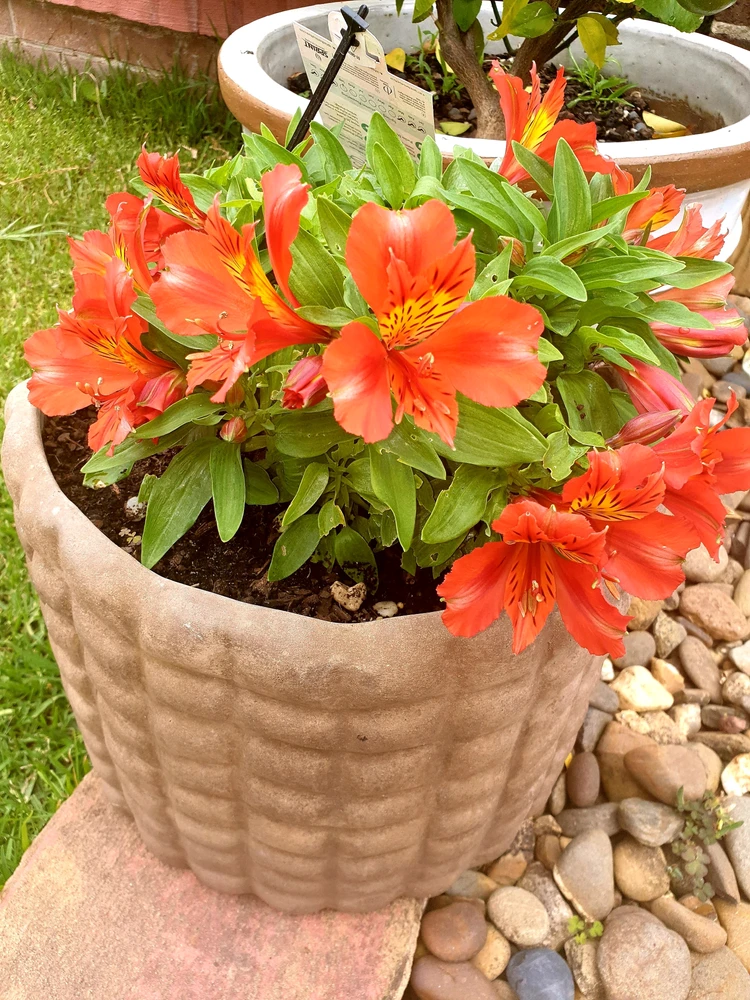 Image uploaded by Briget