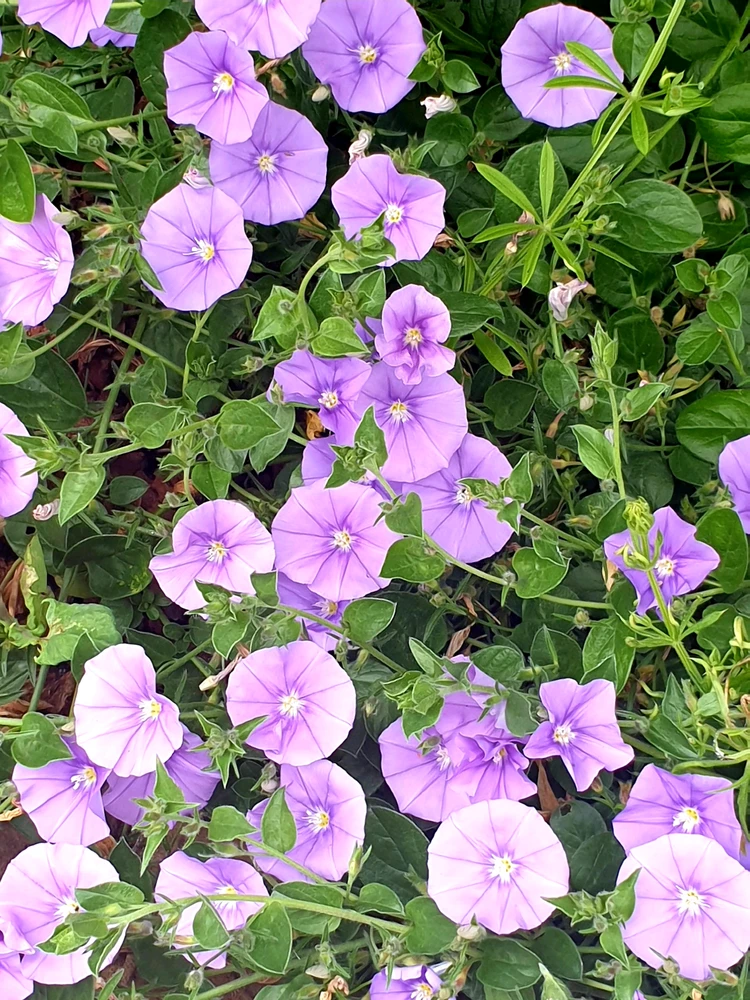 Image uploaded by Briget