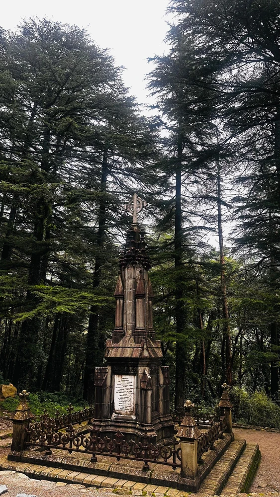Image uploaded by AmarJit