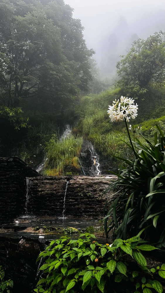 Image uploaded by AmarJit