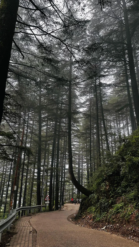 Image uploaded by AmarJit