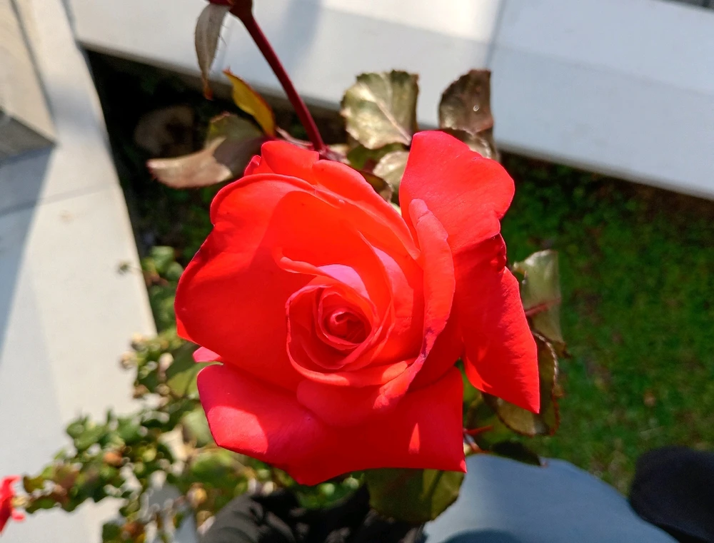 GIF uploaded by Samuel