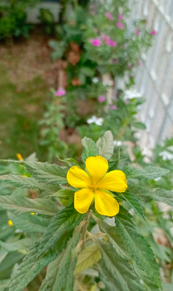 GIF üles laaditud kasutajalt 𝑨𝒏𝒆𝒆𝒍..