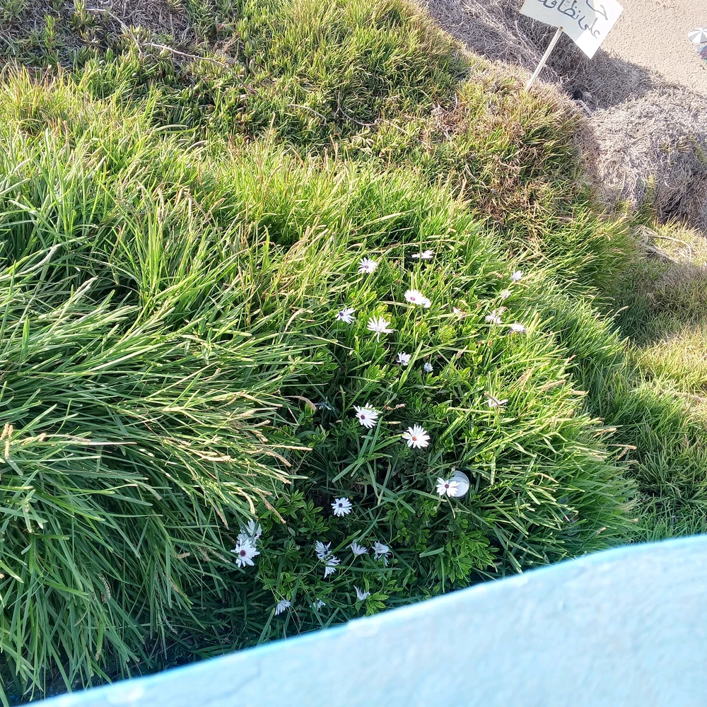 GIF uploaded by Med