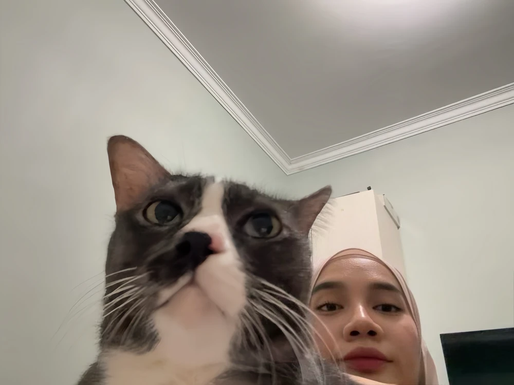 Гіфку завантажив Annisa