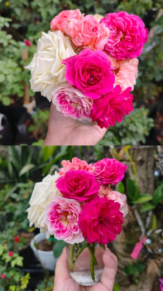 GIF uploaded by Hizkia