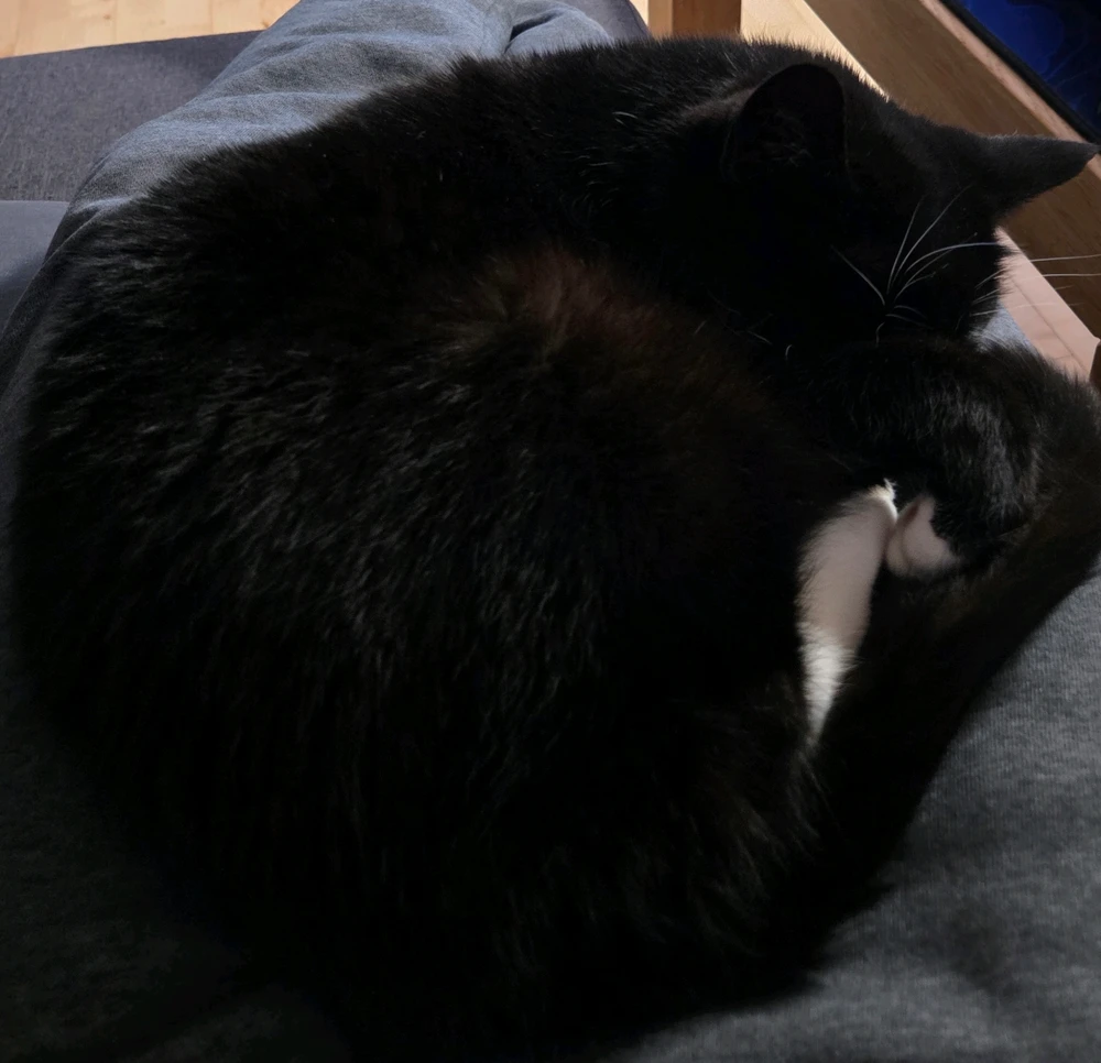 GIF încărcat de Jonas