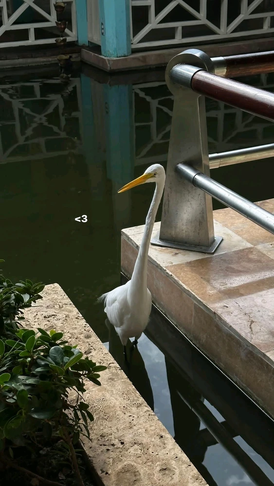 GIF uploaded by Harry