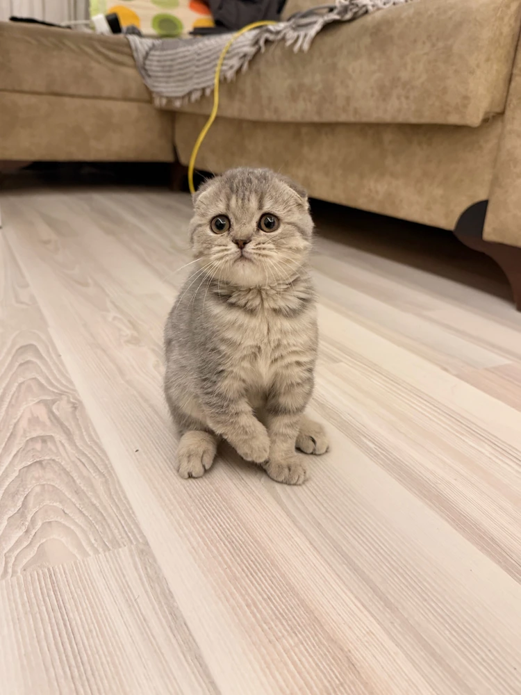 GIF อัปโหลดโดย Ali