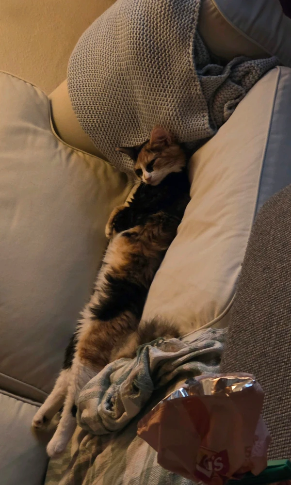 GIF na in-upload ni Emma