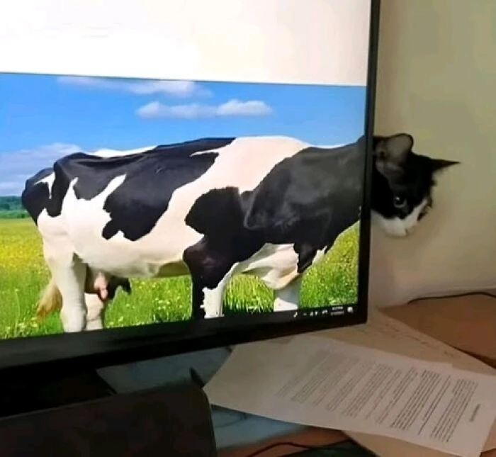 GIF dimuat naik oleh Carla