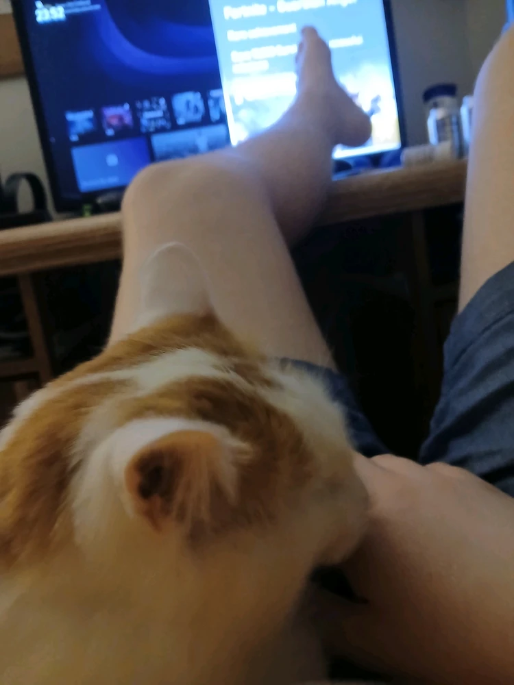 Bilde lastet opp av Sean