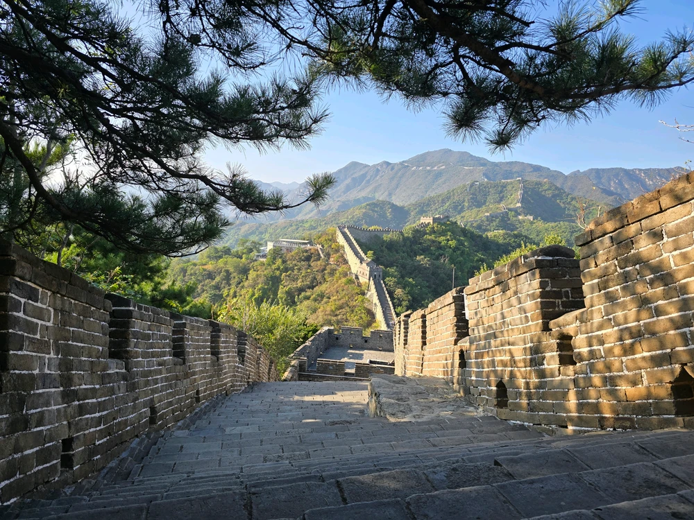 GIF uploaded by Eli