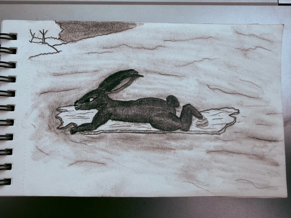 GIF eropgeluede vum Ryan