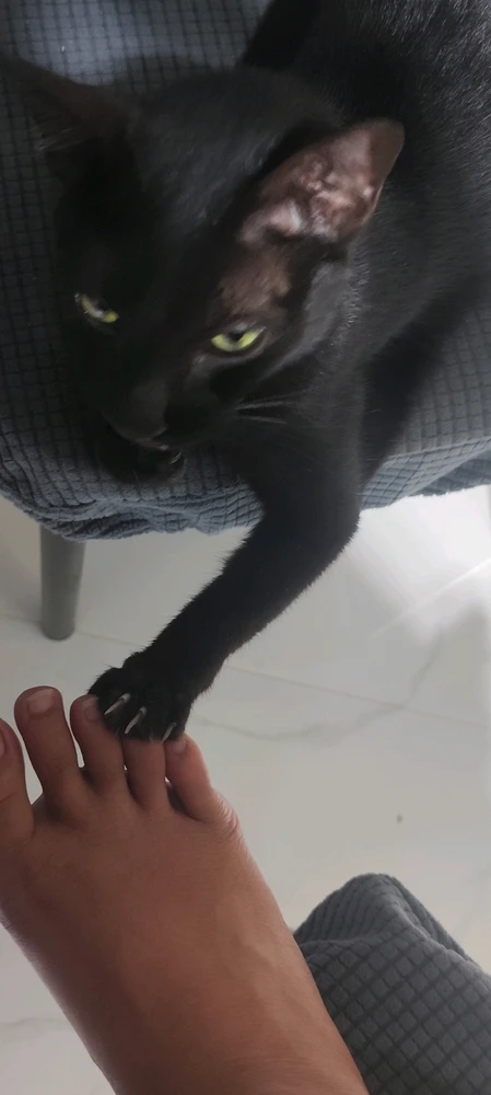 GIF uploadet af Lily