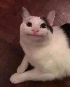 GIF dodany przez ꨄ𝐃ꨄ