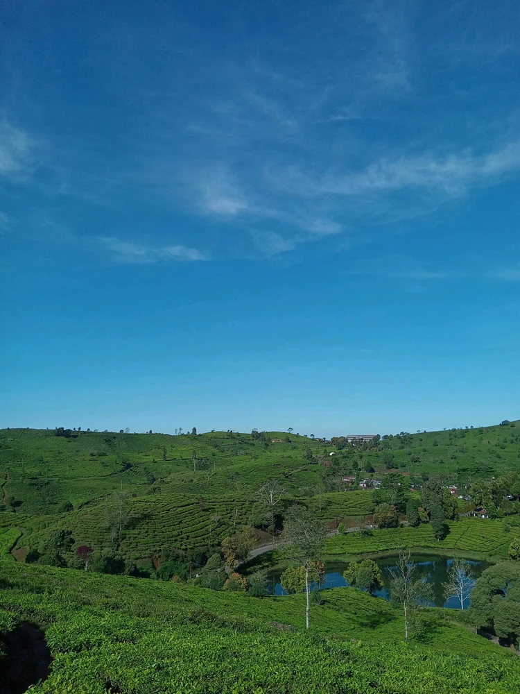 Image uploaded by Revalinaaa