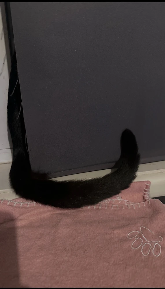 GIF загружаны Jen