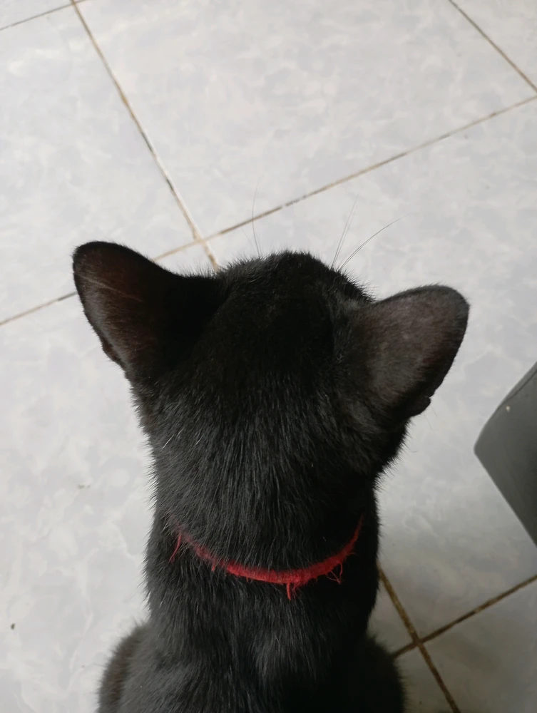 GIF dodany przez Tamaro