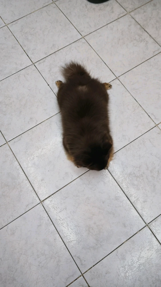 Sliku je postavio/la BB
