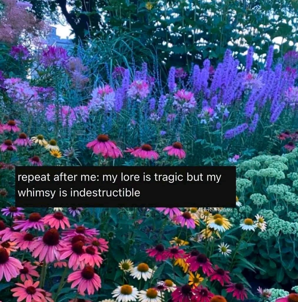 BlissfulRegrets ಅಪ್‌ಲೋಡ್ ಮಾಡಿದ GIF