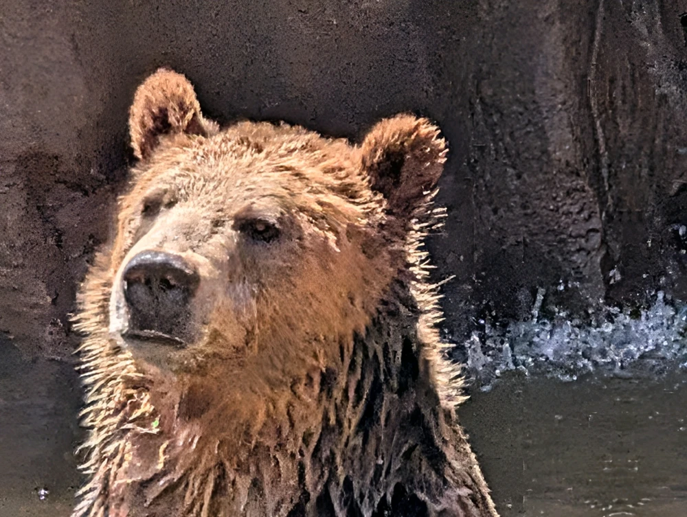 Sliku je postavio/la Leo