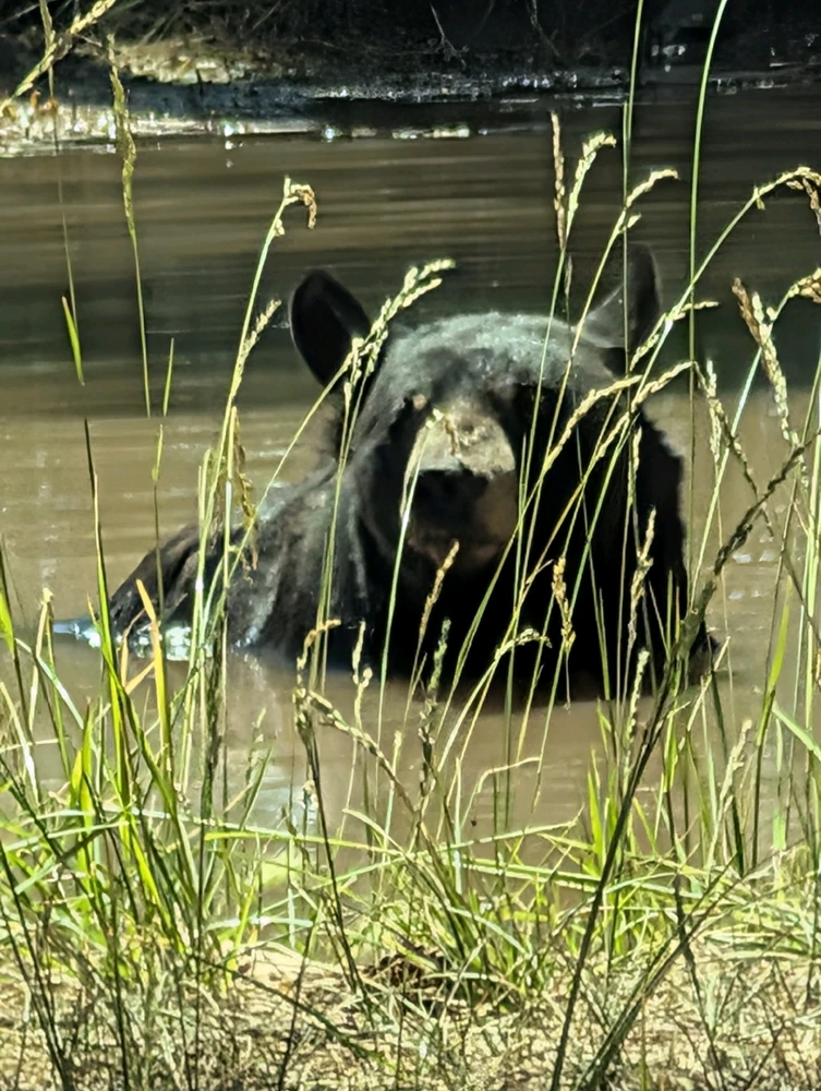 Sliku je postavio/la Leo
