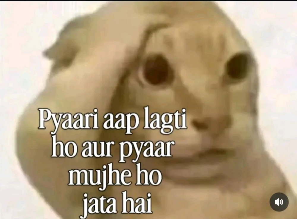 GIF Jiten Purswani te mete