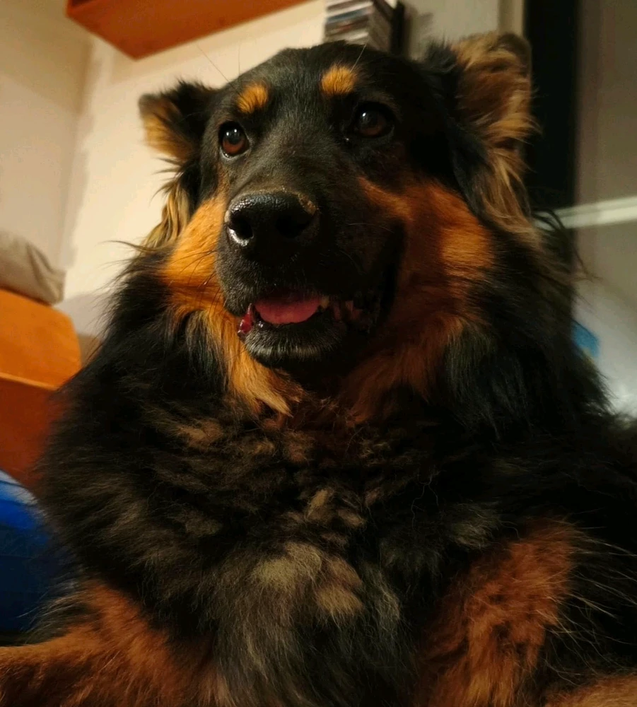 Качено от Rene
