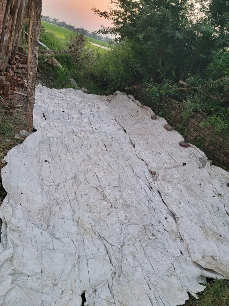 Rocky അപ്‌ലോഡ് ചെയ്ത GIF