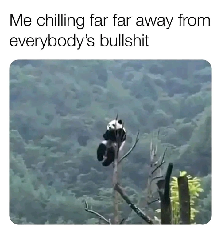 GIF postavljen od Paul