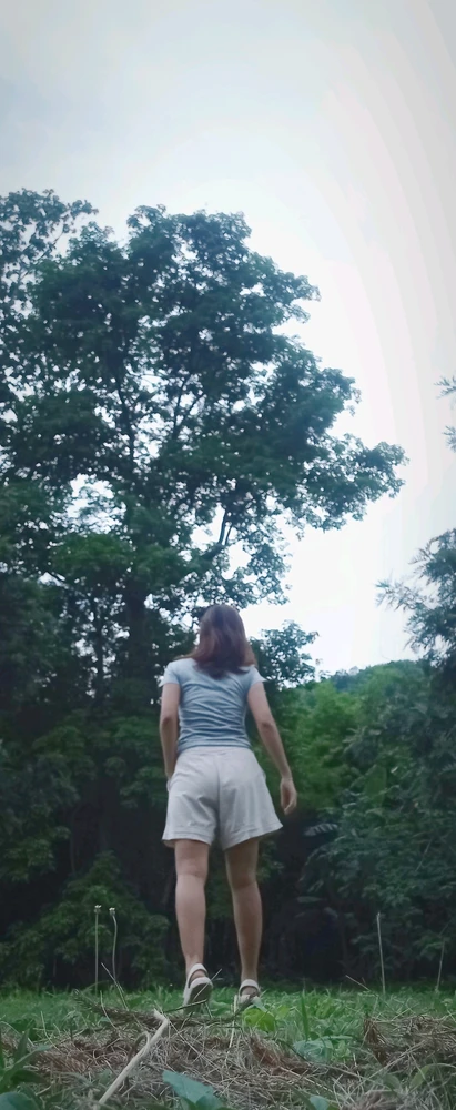 Zo ने अपलोड केलेला GIF