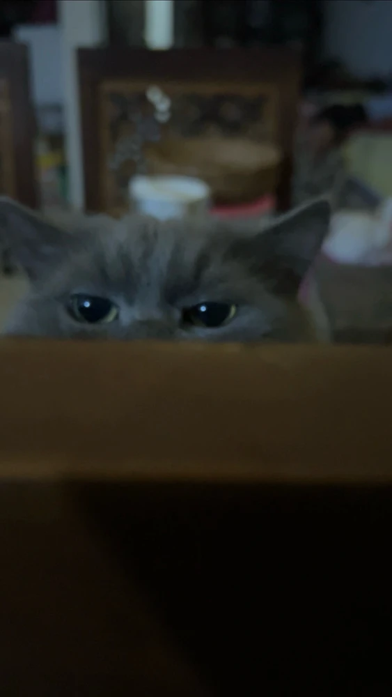 GIF uploadet af Nana