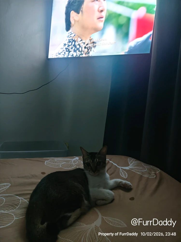 GIF הועלה על ידי asu dahlah