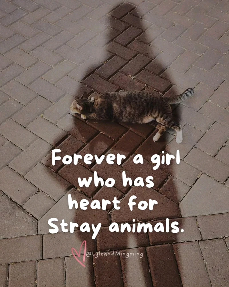 GIF uploaded by Min