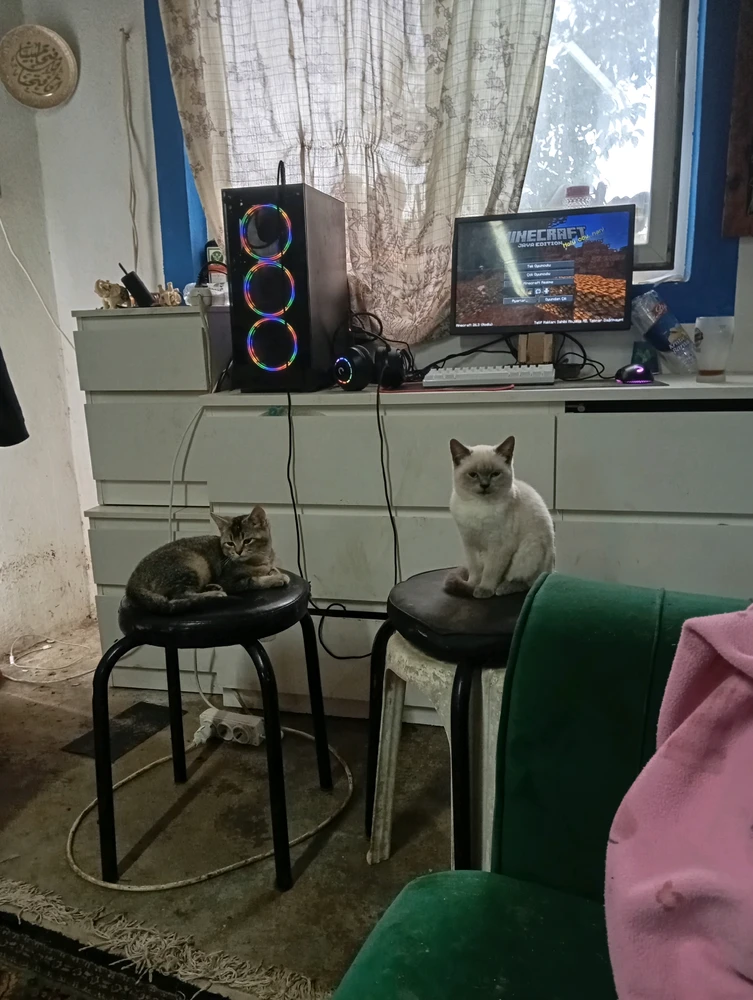 AquaMale йөкләгән GIF