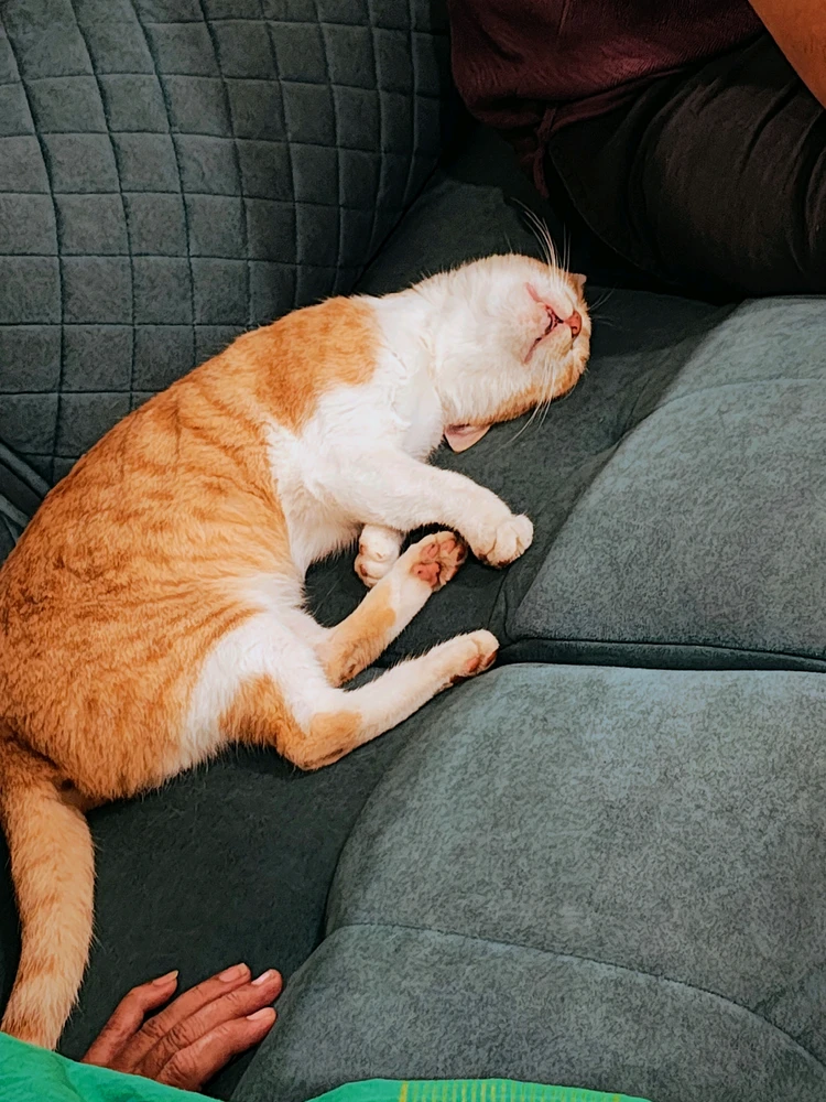 Aditya پاران اپ لوڊ ٿيل GIF